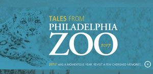 Philadelphia Zoo Holiday Animation